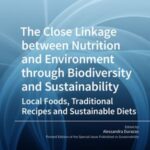 The Close Linkage Between Nutrition and Environment Through Biodiversity and Sustainability: Local Foods, Traditional Recipes and Sustainable Diets