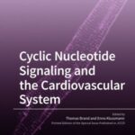 Cyclic Nucleotide Signaling and the Cardiovascular System