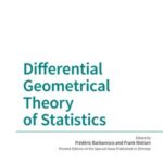 Differential Geometrical Theory of Statistics