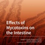 Effects of Mycotoxins on the Intestine