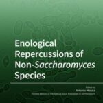 Enological Repercussions of Non-Saccharomyces Species