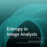 Entropy in Image Analysis