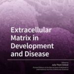 Extracellular Matrix in Development and Disease
