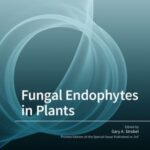 Fungal Endophytes in Plants