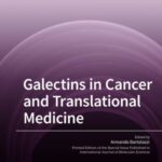 Galectins in Cancer and Translational Medicine