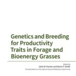Genetics and Breeding for Productivity Traits in Forage and Bioenergy Grasses