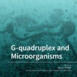 G-quadruplex and Microorganisms