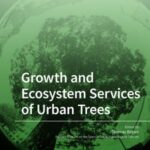 Growth and Ecosystem Services of Urban Trees