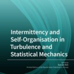 Intermittency and Self-Organisation in Turbulence and Statistical Mechanics