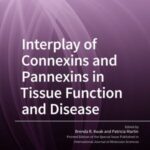 Interplay of Connexins and Pannexins in Tissue Function and Disease