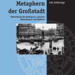 Metaphern der Großstadt: Niederländische Berlinprosa zwischen Naturalismus und Moderne