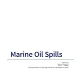 Marine Oil Spills