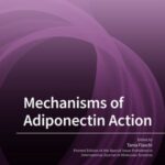 Mechanisms of Adiponectin Action