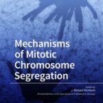 Mechanisms of Mitotic Chromosome Segregation