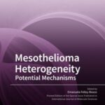 Mesothelioma Heterogeneity: Potential Mechanisms