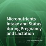 Micronutrients Intake and Status during Pregnancy and Lactation