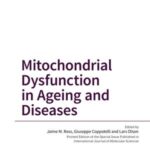 Mitochondrial Dysfunction in Ageing and Diseases