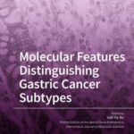 Molecular Features Distinguishing Gastric Cancer Subtypes