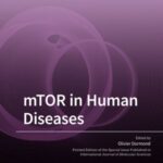 mTOR in Human Diseases
