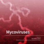 Mycoviruses