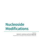 Nucleoside Modifications