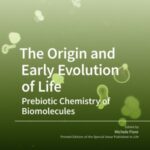 The origin and Early Evolution of Life: Prebiotic Chemistry of Biomolecules