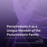 Peroxiredoxin 6 as a Unique Member of the Peroxiredoxin Family