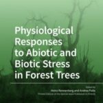 Physiological Responses to Abiotic and Biotic Stress in Forest Trees
