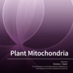 Plant Mitochondria