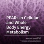 PPARs in Cellular and Whole Body Energy Metabolism