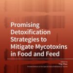 Promising Detoxification Strategies to Mitigate Mycotoxins in Food and Feed
