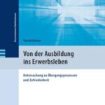 Von der Ausbildung ins Erwerbsleben: Untersuchung zu Übergangsprozessen und Zufriedenheit