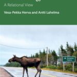 Northern Archaeology and Cosmology: A Relational View