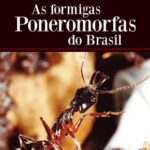 As formigas poneromorfas do Brasil
