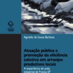 Atuação pública e promoção da eficiência coletiva em arranjos produtivos locais