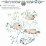 Catálogo dos estágios iniciais de  desenvolvimento dos peixes  da bacia de Campos