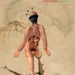 A clínica psicanalítica na contemporaneidade