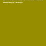 A evolução recente do setor bancário no Brasil