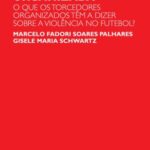 "Não é só a torcida organizada": o que os  torcedores organizados têm a dizer sobre a violência no futebol?
