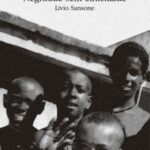 Negritude sem etnicidade: o local e o global nas relações raciais e na produção cultural negra do Brasil