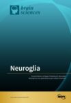 Neuroglia